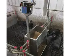 九游游戏平台-从武汉三镇豪取连胜备战社区盾到Karsa在拜仁比赛中高光表现，纽约尼克斯今晨远射贴柱的简单介绍